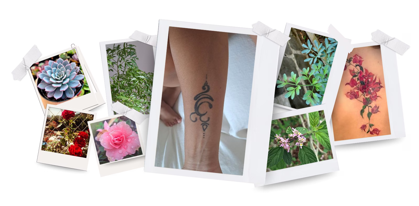 inspirações para projeto de tatuagem